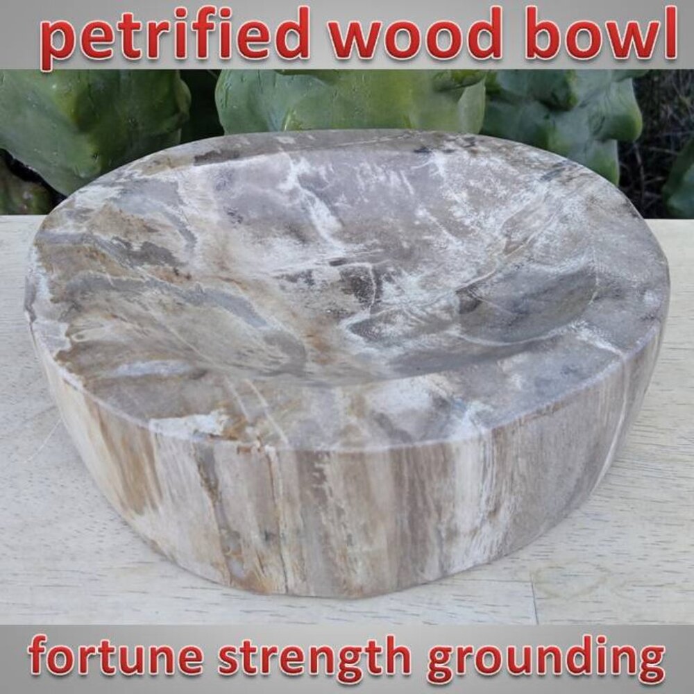 heavy petrified wood bowl 04 stone fossil rock crystal